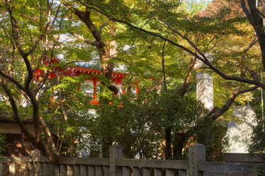 Similar image 21020687