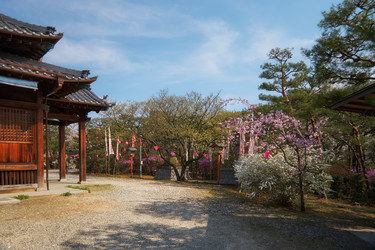 Similar image 21020688