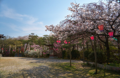 Similar image 21020690