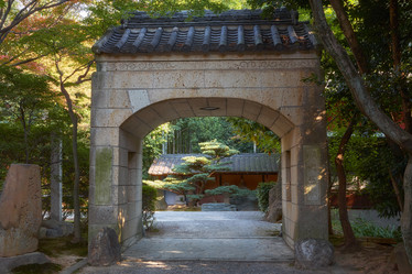 Similar image 21020691