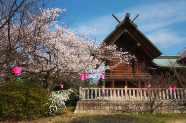 Similar image 21020692