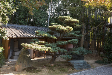 Similar image 21020693