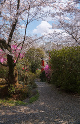 Similar image 21020696