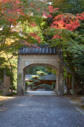 Similar image 21020697