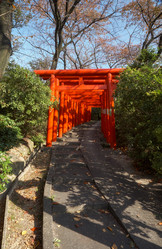 Similar image 21020698