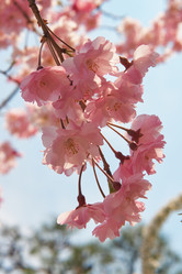 Similar image 21020699