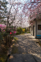 Similar image 21020700