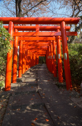 Similar image 21020701