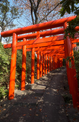 Similar image 21020702