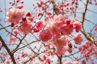 Similar image 21020703