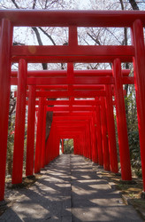 Similar image 21020704