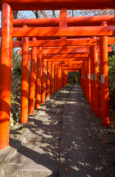 Similar image 21020705