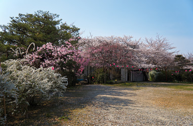 Similar image 21020706