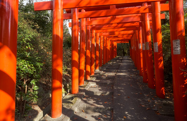 Similar image 21020717