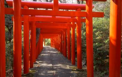 Similar image 21020719