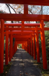 Similar image 21020720