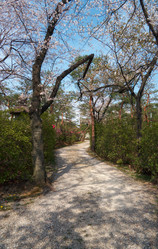 Similar image 21020723