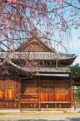 Similar image 21020724