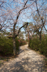 Similar image 21020725