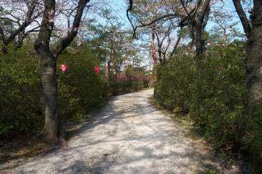 Similar image 21020744