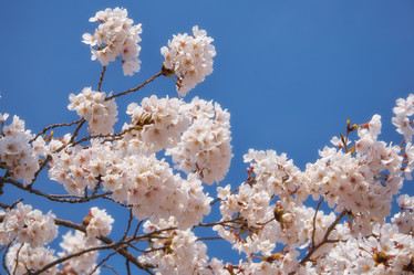 Similar image 21020745