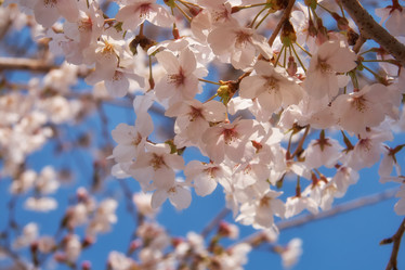 Similar image 21020759