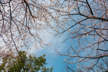 Similar image 21020760