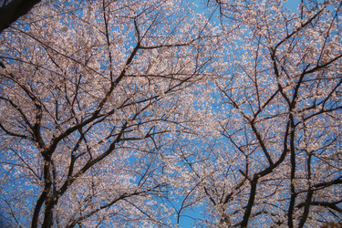 Similar image 21020763