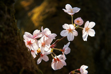 Similar image 21020764