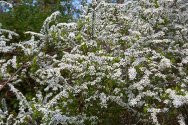 Similar image 21020765