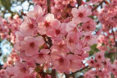 Similar image 21020766