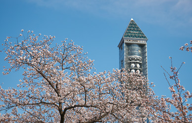 Similar image 21020767