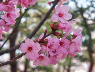 Similar image 21020780