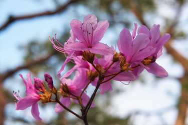 Similar image 21020782