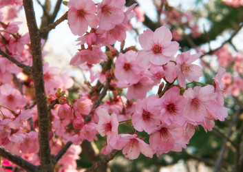 Similar image 21020783