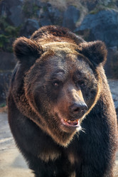 Similar image 21020785