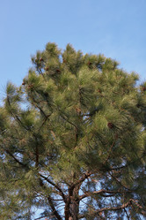 Similar image 21020787