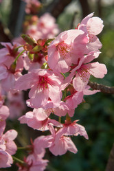 Similar image 21020799