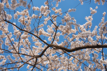 Similar image 21020800