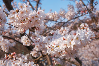 Similar image 21020802