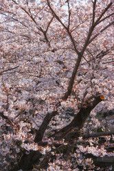 Similar image 21020803