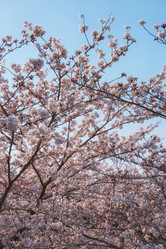 Similar image 21020805