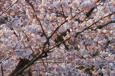 Similar image 21020806