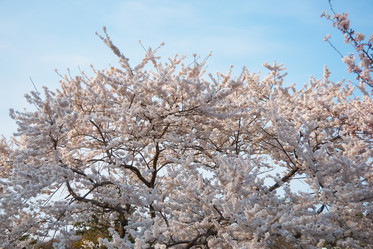 Similar image 21020807