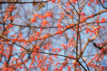 Similar image 21020624