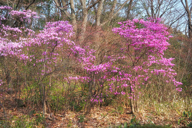 Similar image 21020625