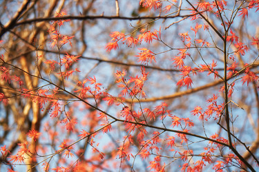 Similar image 21020626