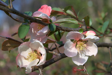 Similar image 21020627