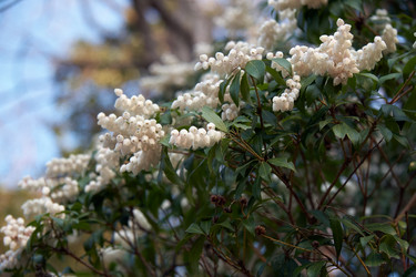 Similar image 21020641