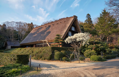 Similar image 21020646